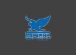 shiekhshoes